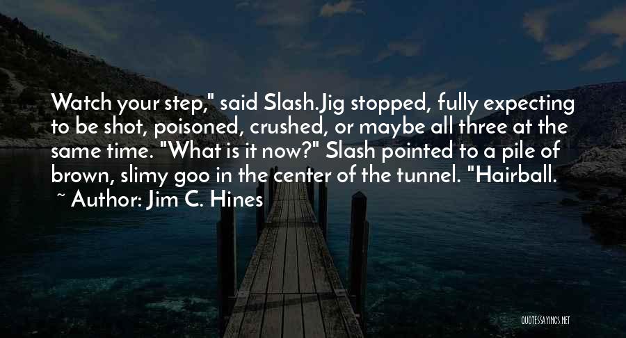 Jim C. Hines Quotes 263065