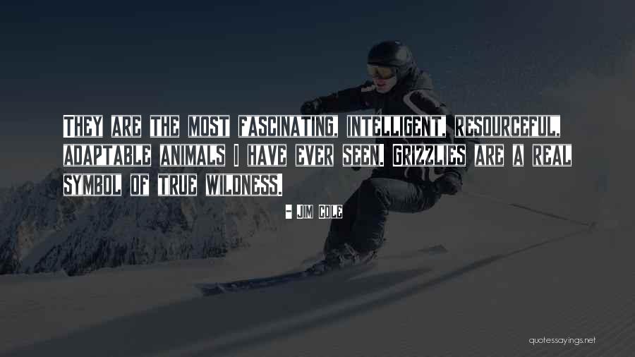Jim Cole Quotes 1412232 Jim Cole Quotes 1412232
