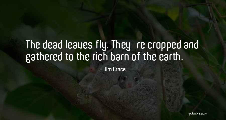 Jim Crace Quotes 2166907