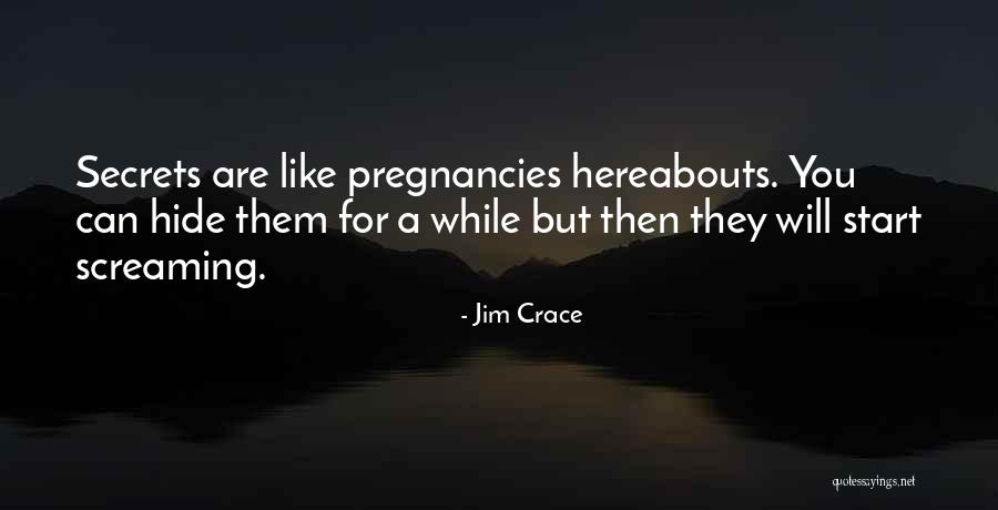 Jim Crace Quotes 2231123