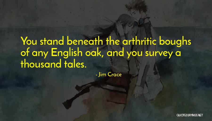 Jim Crace Quotes 2244266