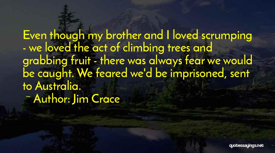 Jim Crace Quotes 811510