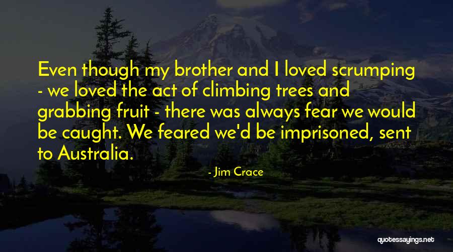 Jim Crace Quotes 811510