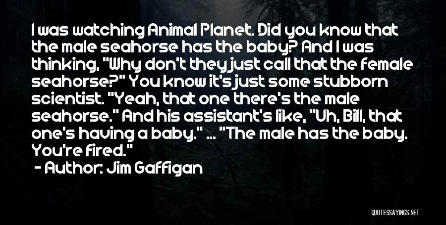 Jim Gaffigan Quotes 2054494