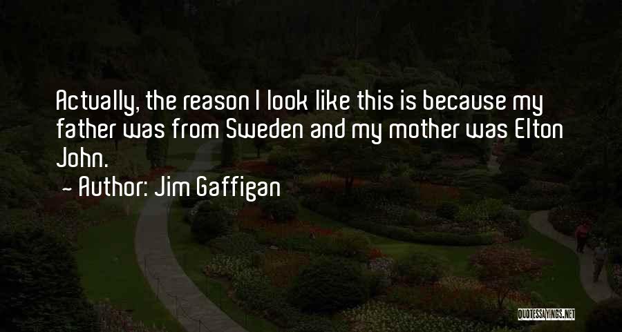 Jim Gaffigan Quotes 836566