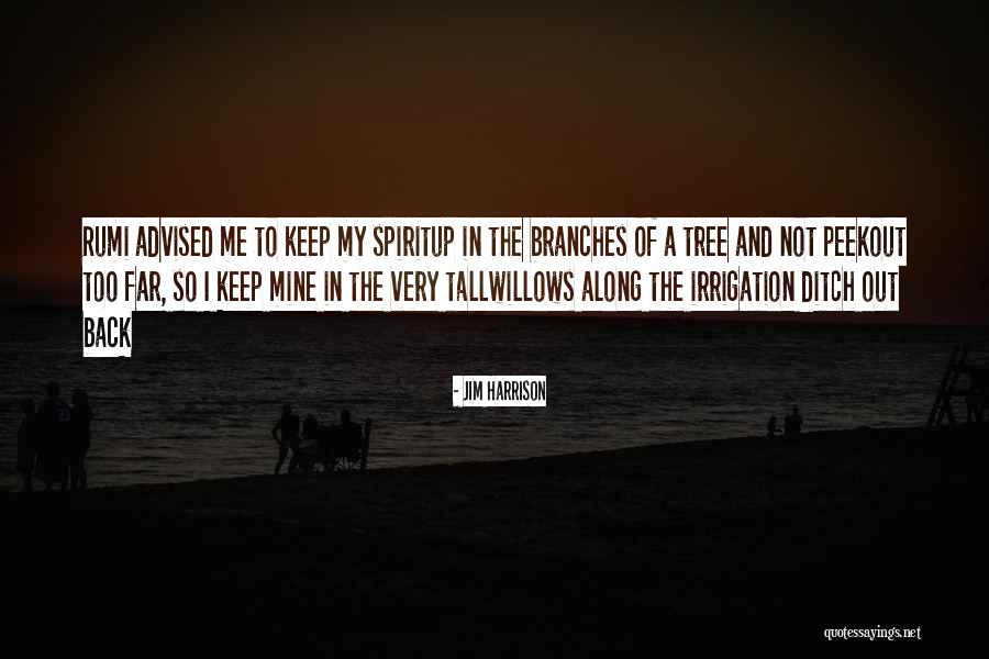 Jim Harrison Quotes 1214015 Jim Harrison Quotes 1214015