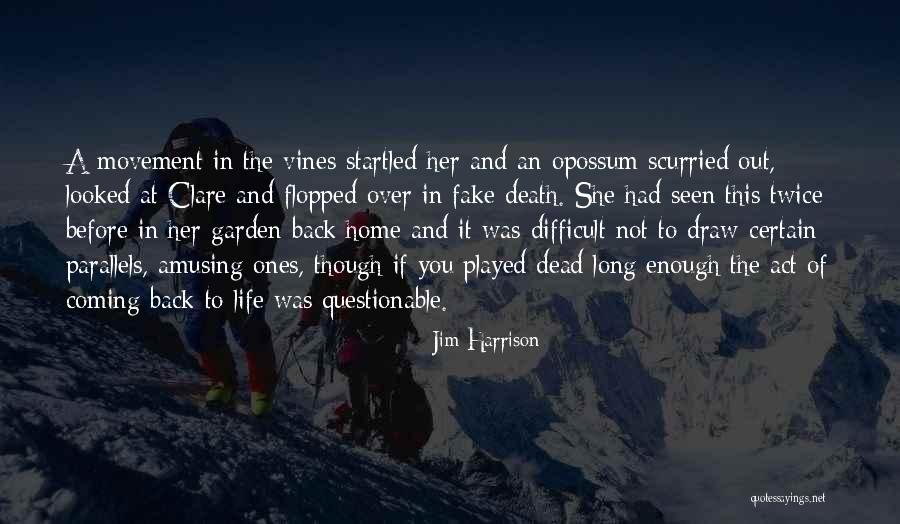 Jim Harrison Quotes 392769