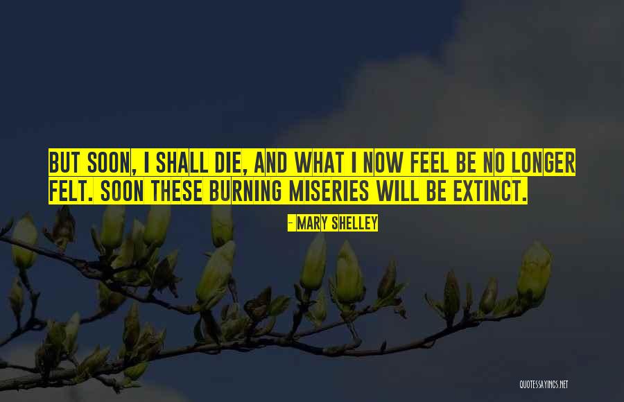 Jim Jones Famous Quotes By Mary Shelley Jim Jones Famous Quotes By Mary Shelley