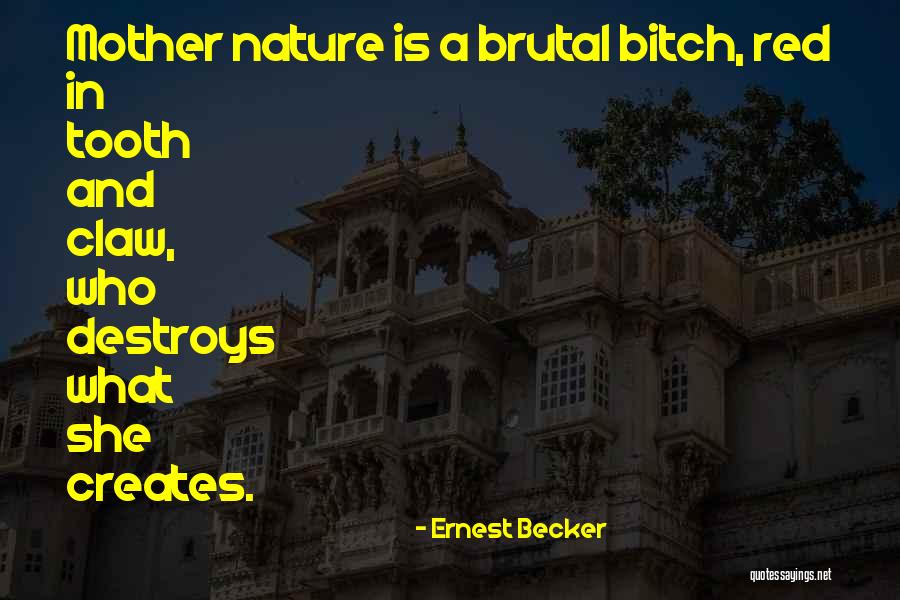 Jim Mclaughlin Quotes By Ernest Becker Jim Mclaughlin Quotes By Ernest Becker
