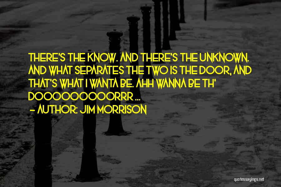 Jim Morrison Quotes 1431473