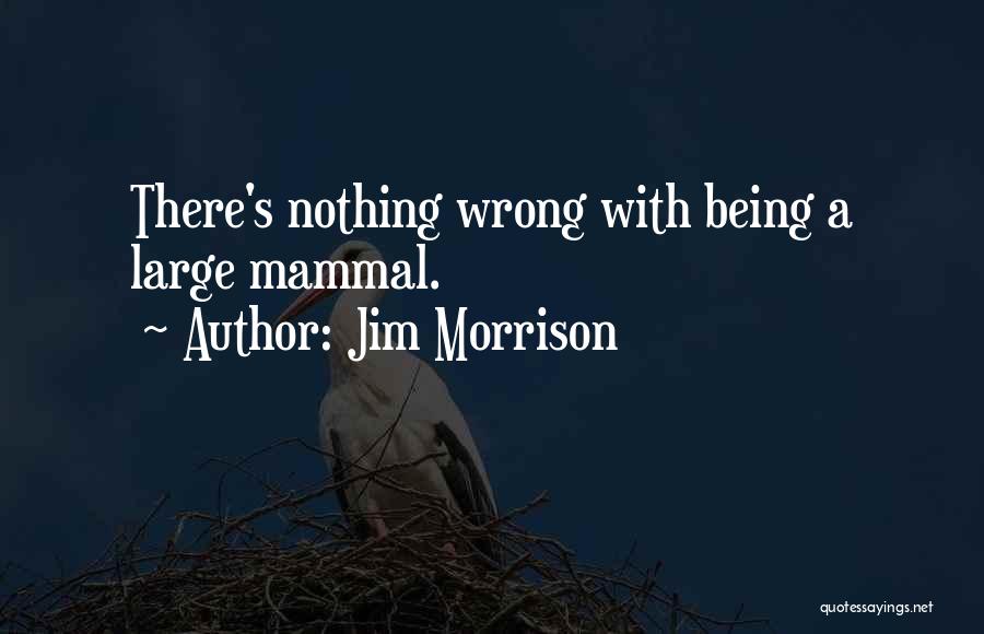 Jim Morrison Quotes 1529618