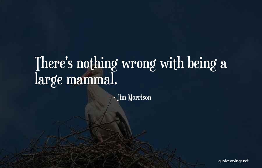 Jim Morrison Quotes 1529618 Jim Morrison Quotes 1529618