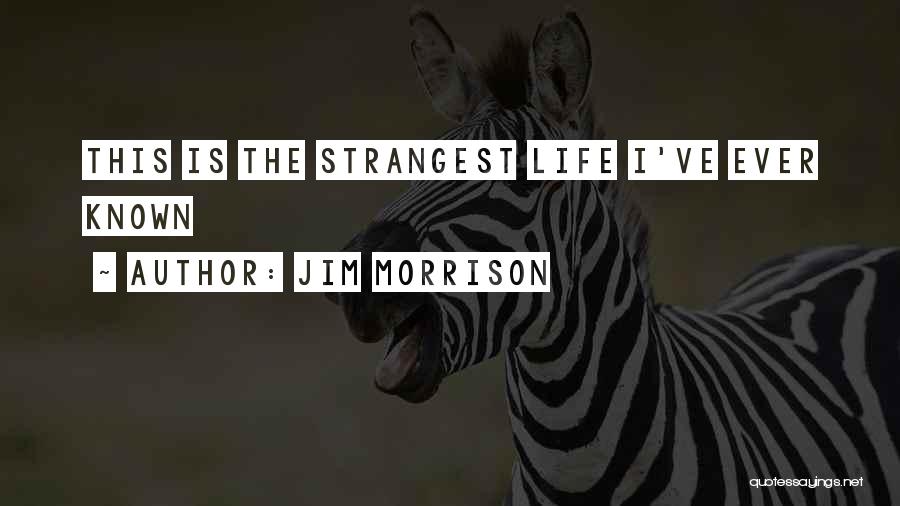 Jim Morrison Quotes 519200