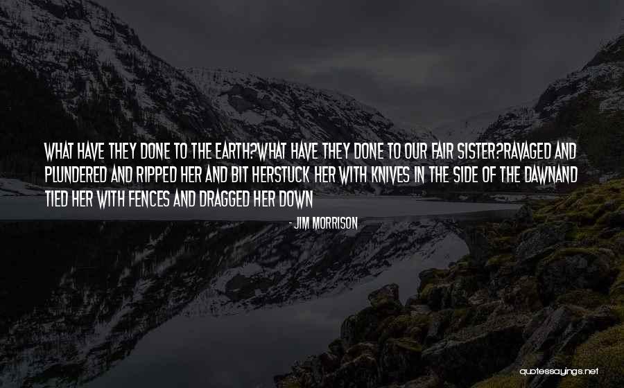 Jim Morrison Quotes 738370 Jim Morrison Quotes 738370