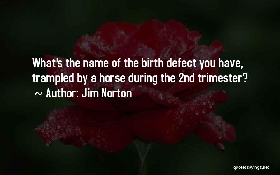 Jim Norton Quotes 465289