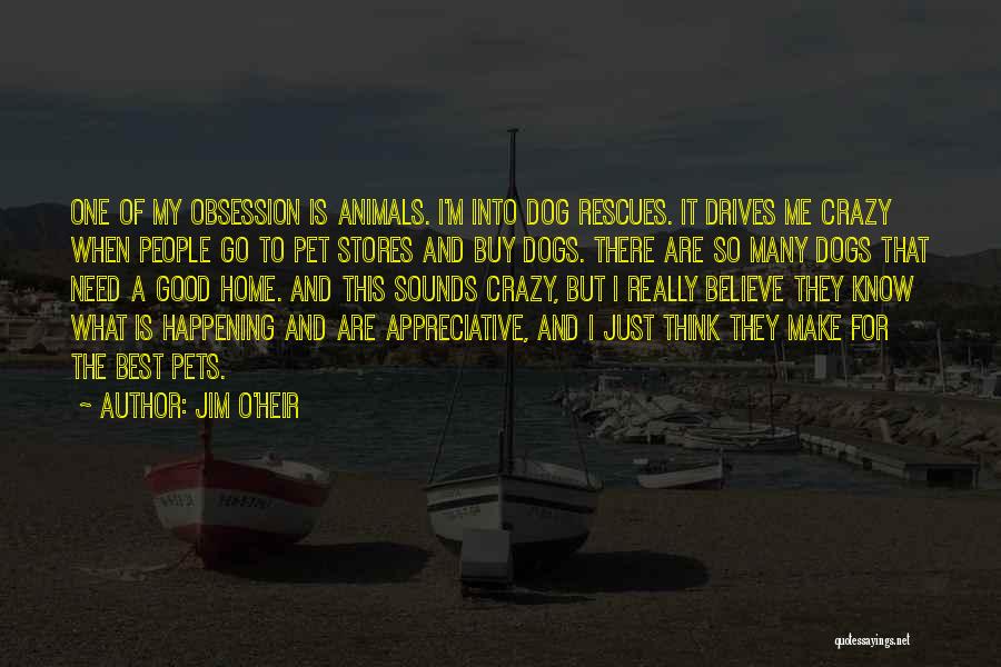 Jim O'rourke Quotes By Jim O'Heir