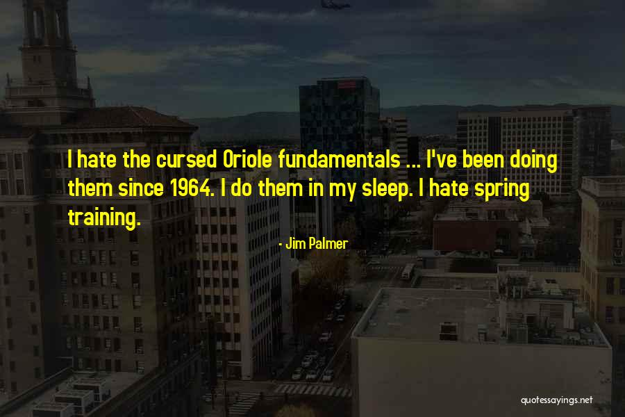 Jim Palmer Quotes 1624063