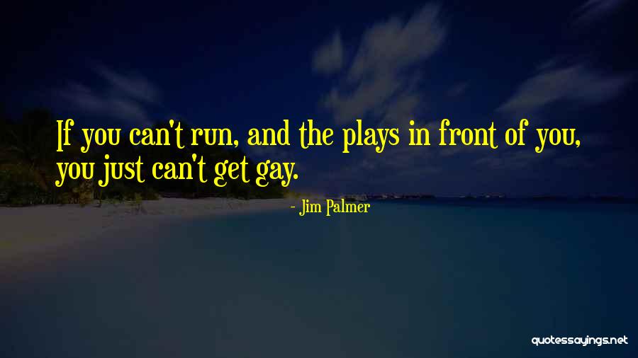 Jim Palmer Quotes 1821305