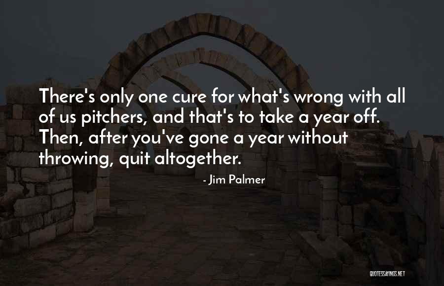 Jim Palmer Quotes 205082