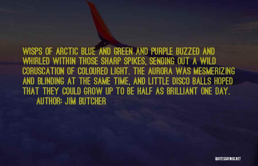 Jim Sharp Quotes By Jim Butcher