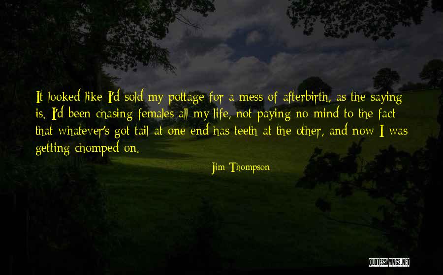 Jim Thompson Quotes 1723834