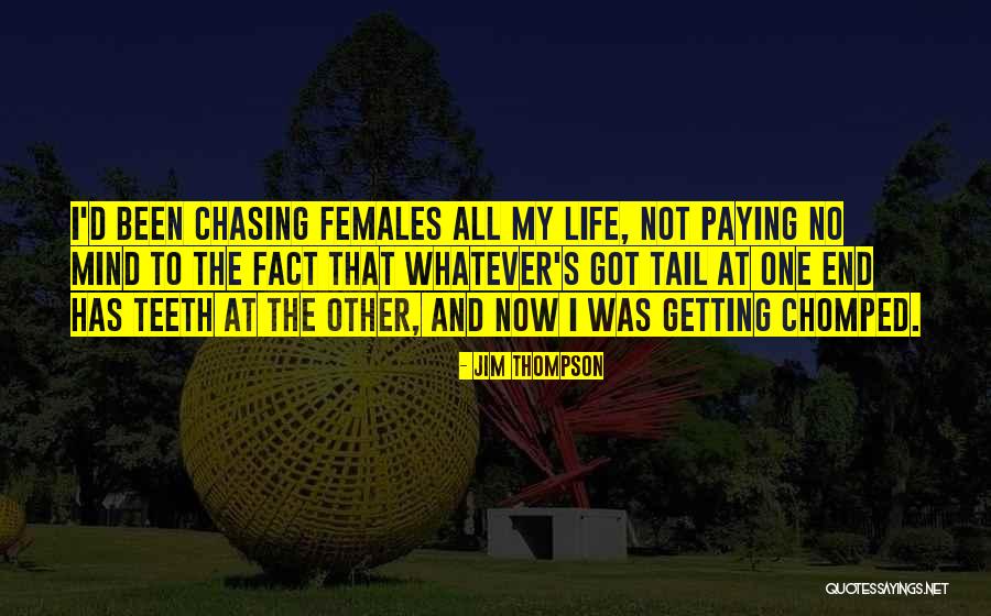 Jim Thompson Quotes 1981770 Jim Thompson Quotes 1981770
