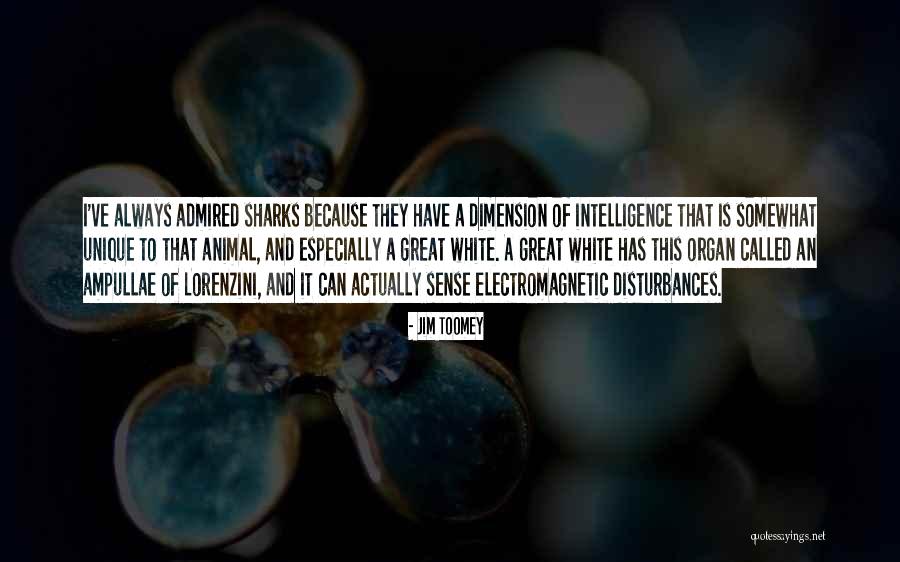 Jim Toomey Quotes 1316599 Jim Toomey Quotes 1316599