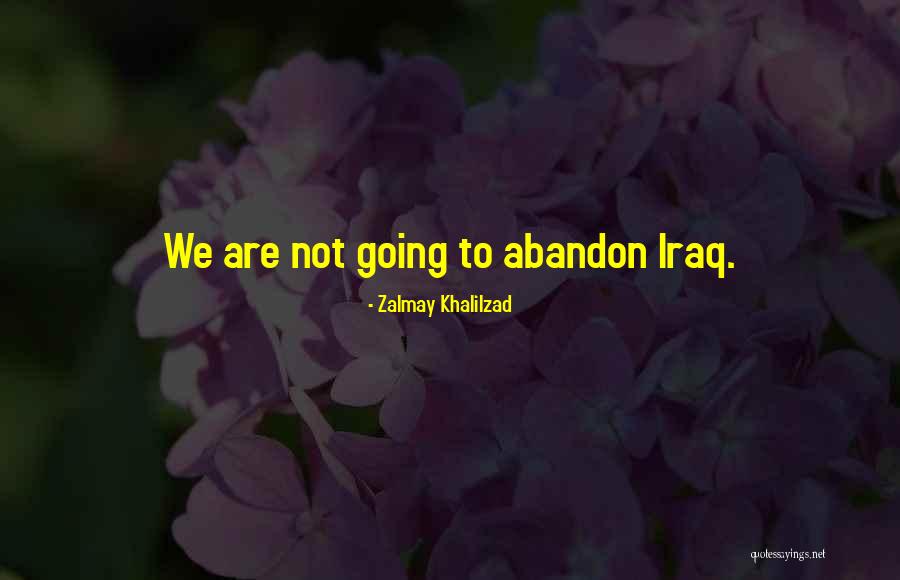 Jim Traynor Quotes By Zalmay Khalilzad Jim Traynor Quotes By Zalmay Khalilzad