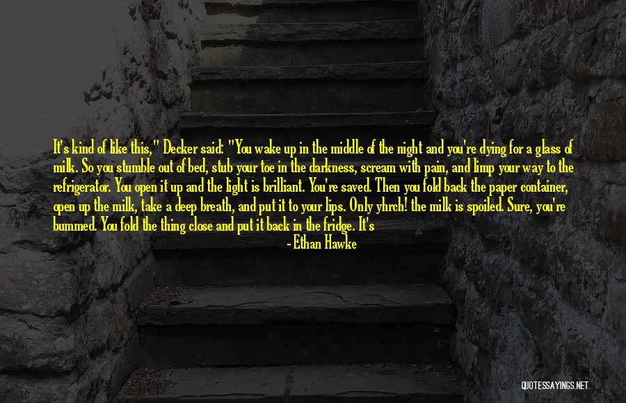 Jim Trelease Read Aloud Handbook Quotes By Ethan Hawke Jim Trelease Read Aloud Handbook Quotes By Ethan Hawke