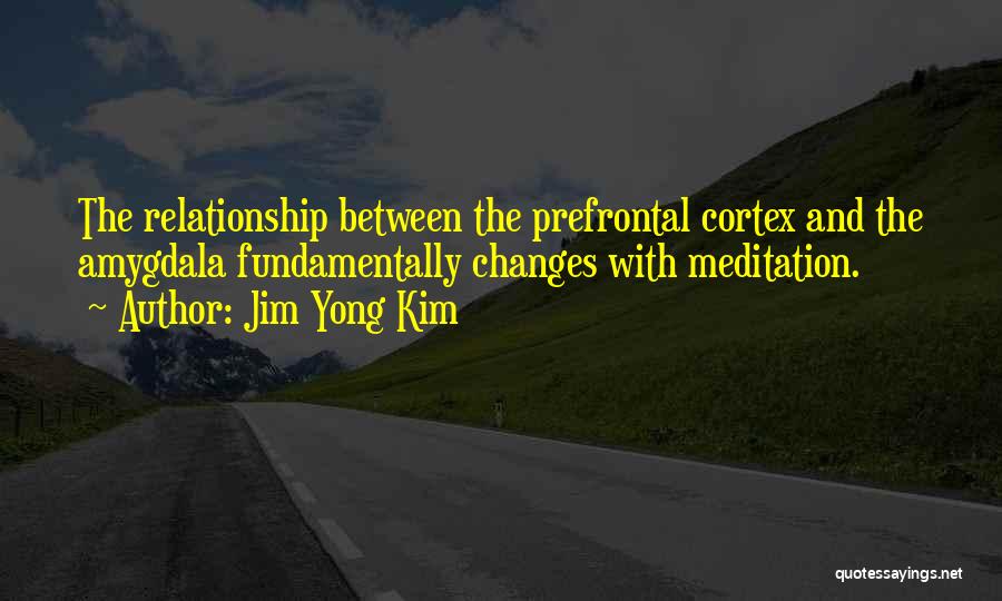 Jim Yong Kim Quotes 1758782