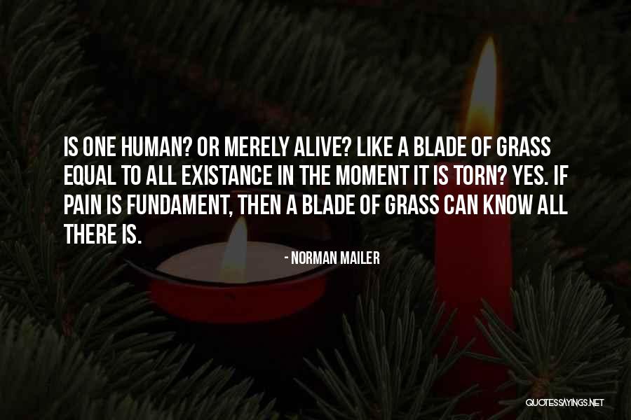 Jimarti Golf Quotes By Norman Mailer Jimarti Golf Quotes By Norman Mailer