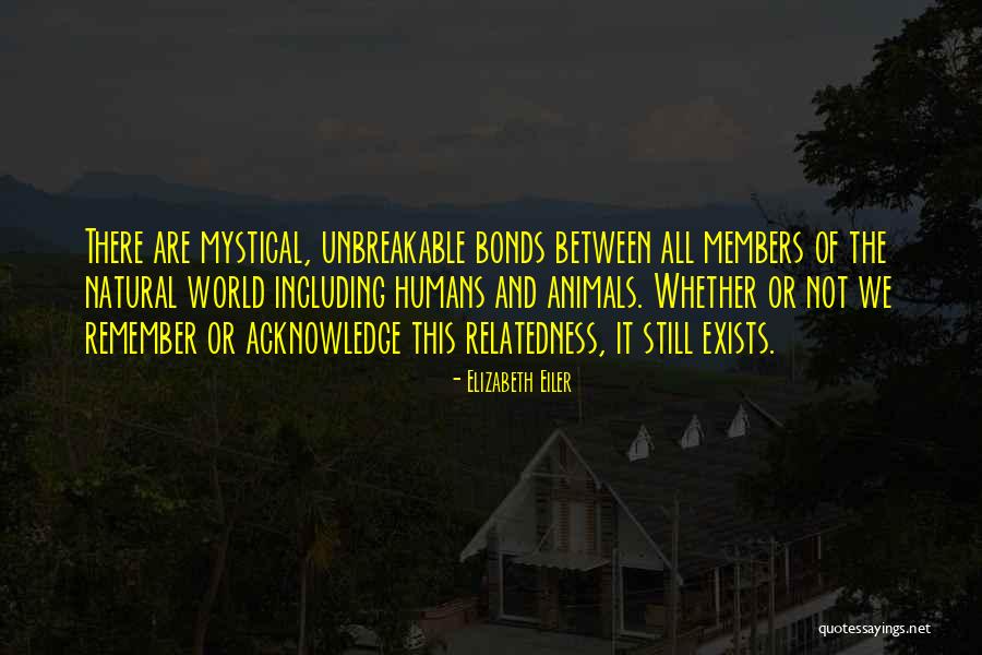 Jimbos Celina Quotes By Elizabeth Eiler Jimbos Celina Quotes By Elizabeth Eiler