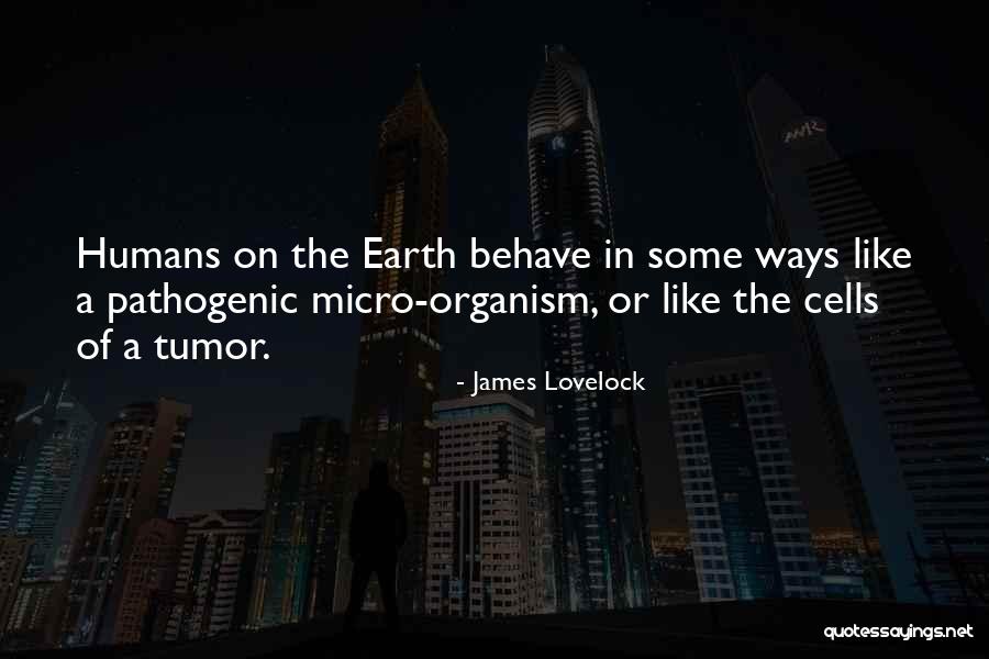 Jimmica Guess Quotes By James Lovelock Jimmica Guess Quotes By James Lovelock