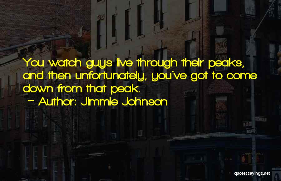 Jimmie Johnson Quotes 1016843