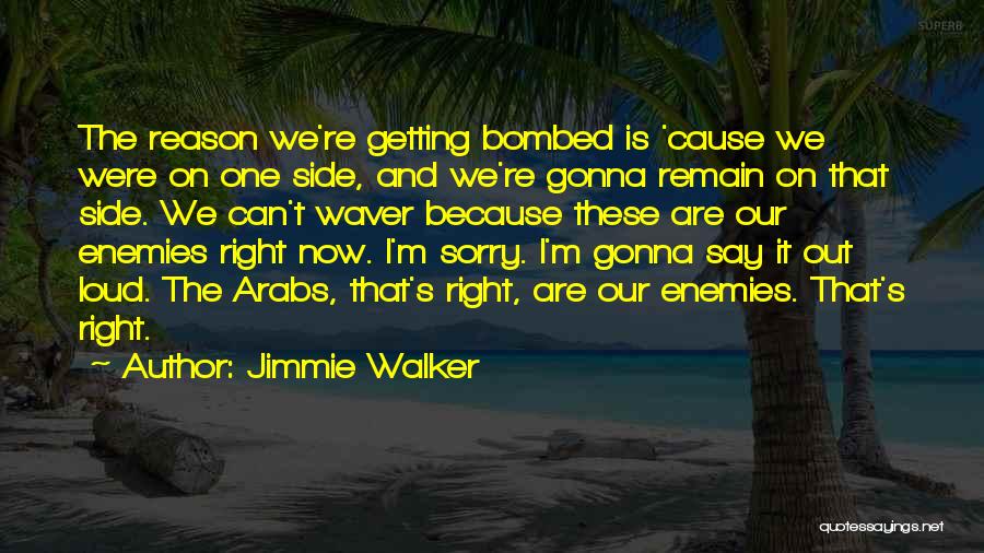 Jimmie Walker Quotes 444656