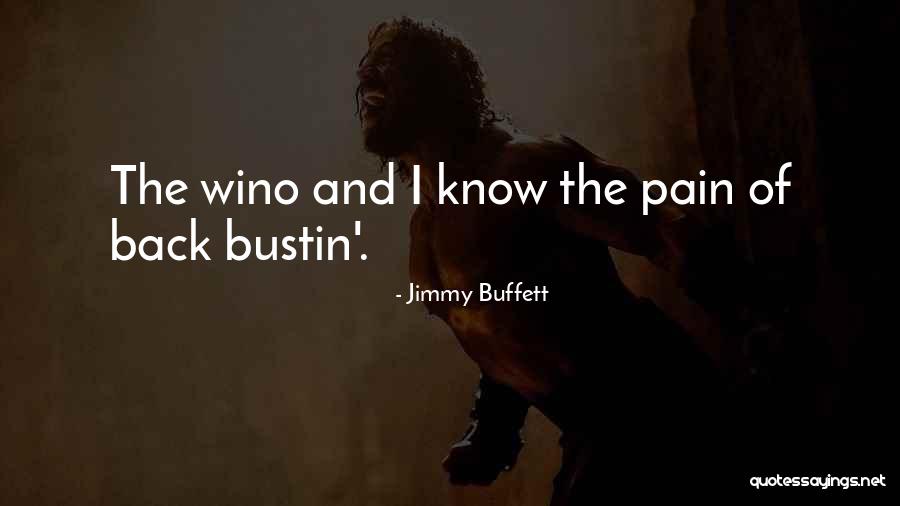 Jimmy Buffett Quotes 1231847 Jimmy Buffett Quotes 1231847