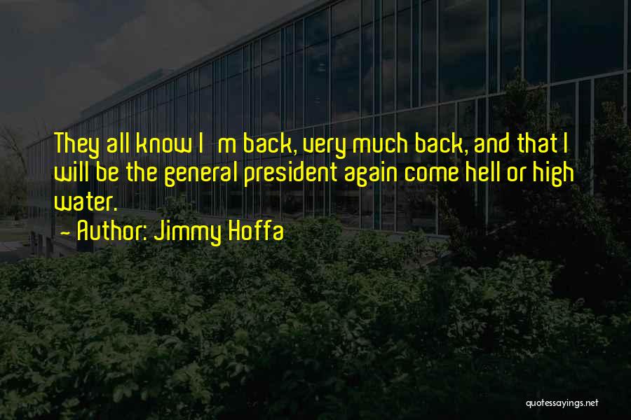 Jimmy Hoffa Quotes 827607