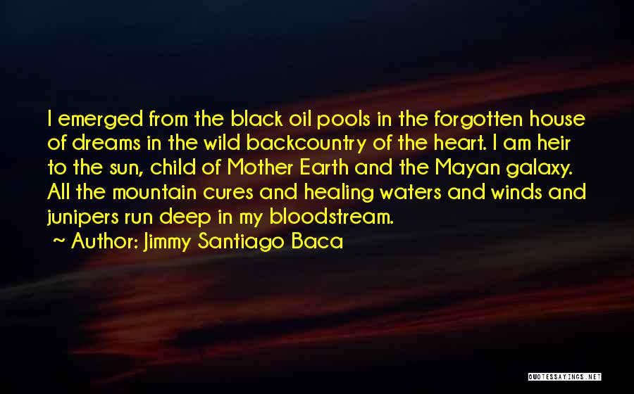 Jimmy Santiago Baca Quotes 545484