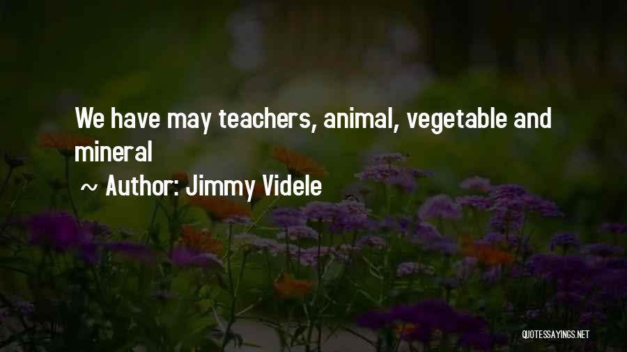 Jimmy Videle Quotes 2192712