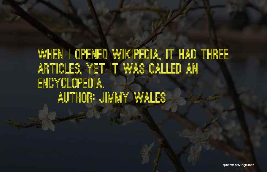 Jimmy Wales Quotes 1197235
