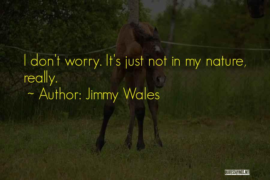 Jimmy Wales Quotes 1335029