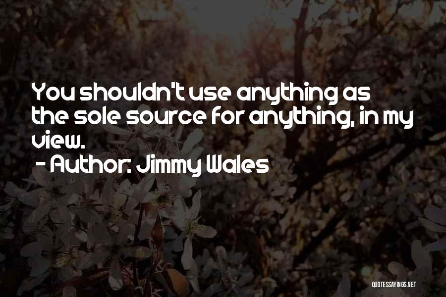 Jimmy Wales Quotes 1823308