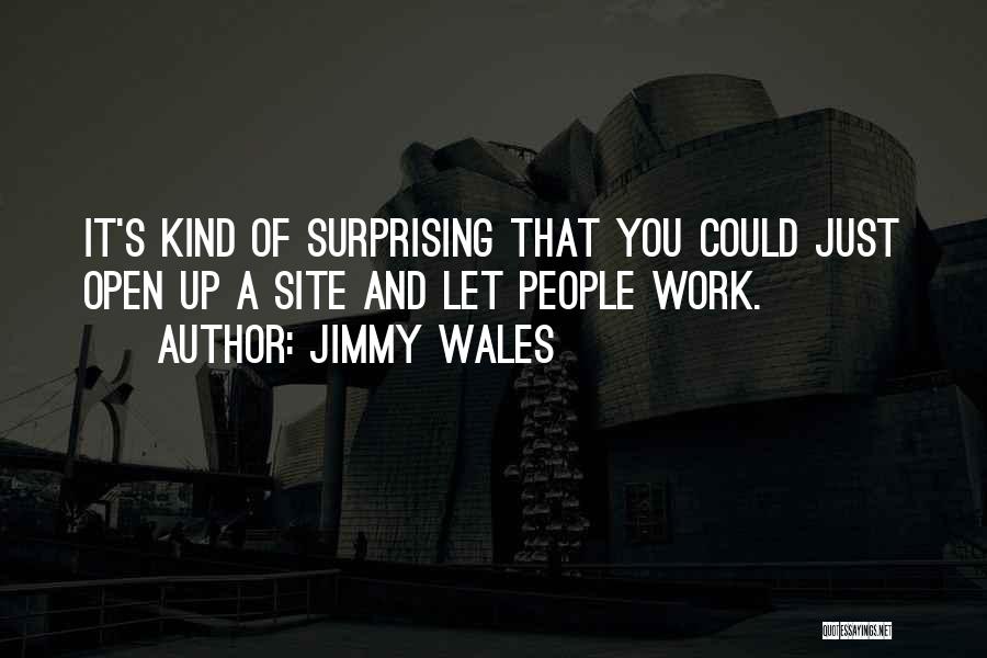 Jimmy Wales Quotes 1965176