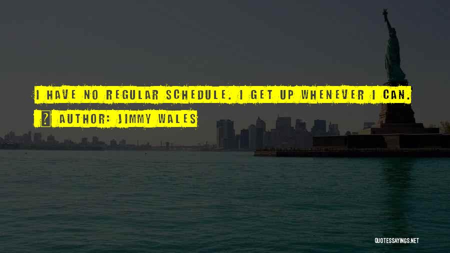Jimmy Wales Quotes 776903