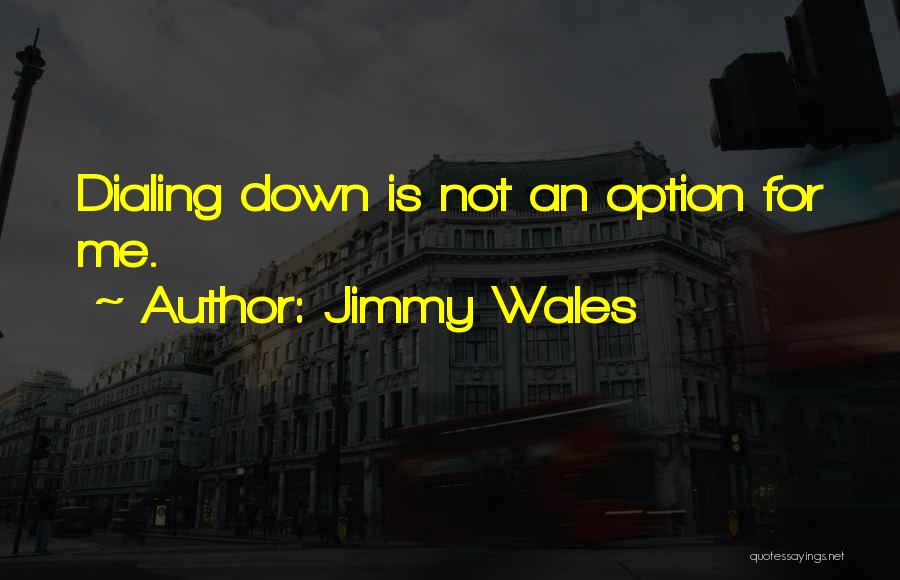 Jimmy Wales Quotes 933475