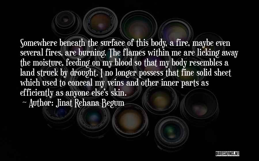 Jinat Rehana Begum Quotes 1667120