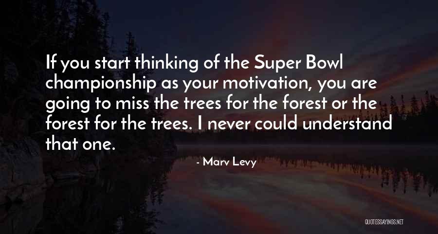 Jinaye Quotes By Marv Levy Jinaye Quotes By Marv Levy