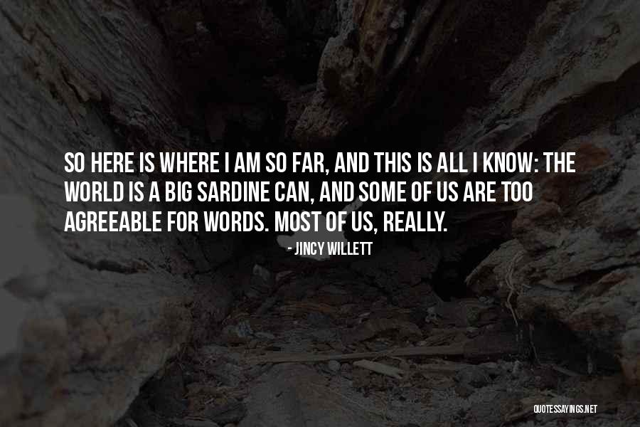 Jincy Willett Quotes 721108 Jincy Willett Quotes 721108
