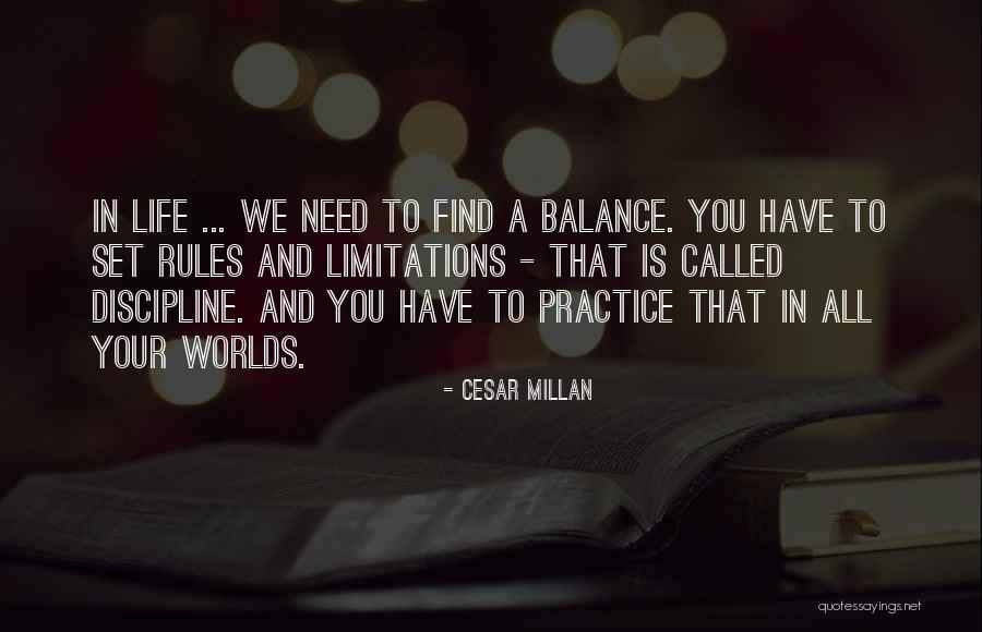 Jingco Fronda Quotes By Cesar Millan Jingco Fronda Quotes By Cesar Millan