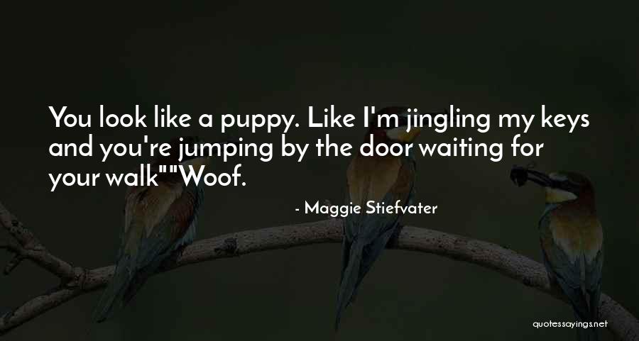 Jingling Quotes By Maggie Stiefvater Jingling Quotes By Maggie Stiefvater